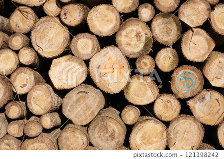 Pile of wood logs, closeup of clean cut of chopped firewood logs. Natural wooden background Pile of wood logs, closeup of clean cut of chopped firewood logs. Natural wooden background 121198242
