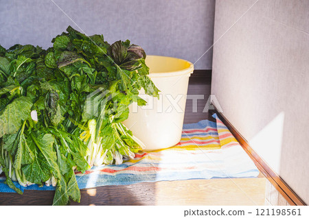 Washed Nozawana and barrel 121198561