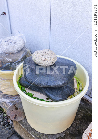 Pickled Nozawana with a weight of stone on top 121198571