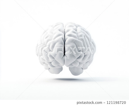 Minimalistic Brain Model on White Background 121198720