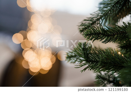 Close-Up of Pine Tree Branch with Bokeh Christmas Lights in Background Close-Up of Pine Tree Branch with Bokeh Christmas Lights in Background 121199180