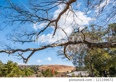 View of Mount Wakakusa from Ukigumo Garden in Nara Park 121199672