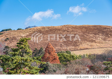 View of Mount Wakakusa from Ukigumo Garden in Nara Park 121199675