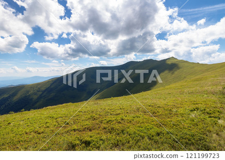 scenery of borzhava ridge in summer. alpine landscape of carpathian mountain range on a sunny day. grassy meadows and rolling hills. travel ukraine scenery of borzhava ridge in summer. alpine landscape of carpathian mountain range on a sunny day. grassy meadows and rolling hills. travel ukraine 121199723
