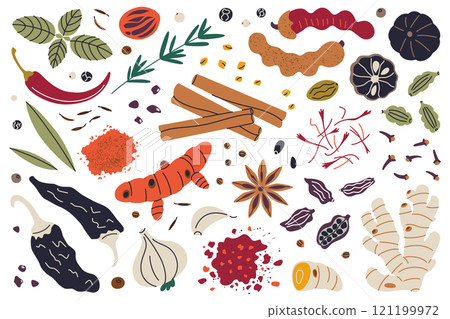 Vector illustrations collection, set of spices and herbs, cinnamon, turmeric, saffron, chili, ginger doodles, garlic, cloves, and cardamom. Colorful flat cartoon style for cooking, food, and culinary Vector illustrations collection, set of spices and herbs, cinnamon, turmeric, saffron, chili, ginger doodles, garlic, cloves, and cardamom. Colorful flat cartoon style for cooking, food, and culinary 121199972