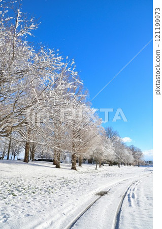 Kamisekigata Park in winter (Niigata Prefecture) Kamisekigata Park in winter (Niigata Prefecture) 121199973