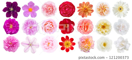 Flowers set top view isolated on white background Flowers set top view isolated on white background 121200373