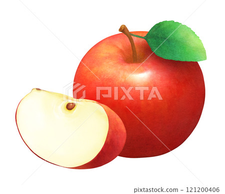 Hand-drawn watercolor illustration of red apples and leaves_cut apples_fresh fruit Hand-drawn watercolor illustration of red apples and leaves_cut apples_fresh fruit 121200406