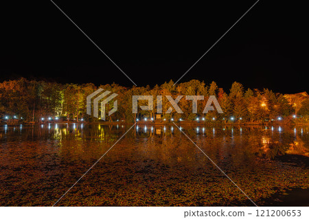 Illuminated autumn leaves starting to change color on the Chausuyama Plateau and trees reflected on the water at Yahazu Pond (Aichi Prefecture) 121200653