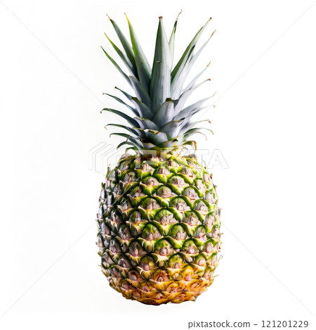 Fresh tropical pineapple with vibrant green crown and textured skin on a white background Fresh tropical pineapple with vibrant green crown and textured skin on a white background 121201229