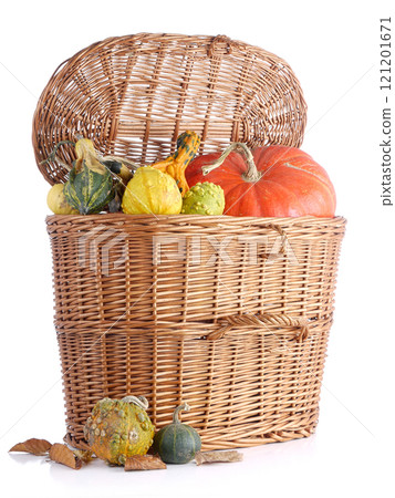 Autumn crops 121201671