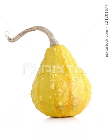 Summer squash 121201677