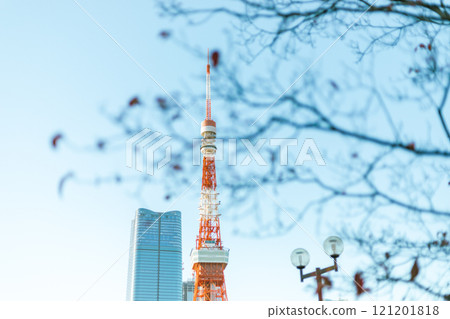 Tokyo Tower in Shiba Park Tokyo Tower in Shiba Park 121201818