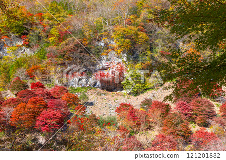 Otaki Kanba area, Chichibu City, Saitama Prefecture, a prefectural designated historic site of the Jomon people's residence, Kanba Cave and the vivid autumn foliage of the maple forest in front of the cave 121201882