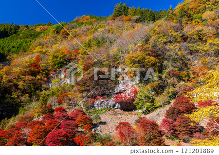 Otaki Kanba area, Chichibu City, Saitama Prefecture, a prefectural designated historic site of the Jomon people's residence, Kanba Cave and the vivid autumn foliage of the maple forest in front of the cave 121201889