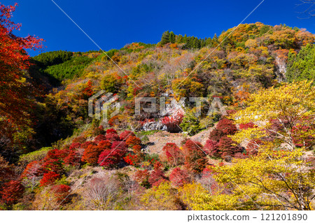 埼玉縣秩父市大瀧關場地區、縣指定史蹟、繩文聚落遺址、關場洞窟及洞前紅葉楓林 121201890