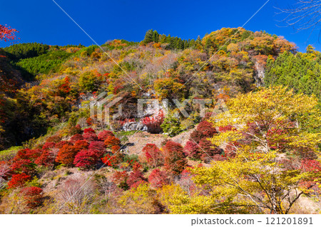 埼玉縣秩父市大瀧關場地區、縣指定史蹟、繩文聚落遺址、關場洞窟及洞前紅葉楓林 121201891