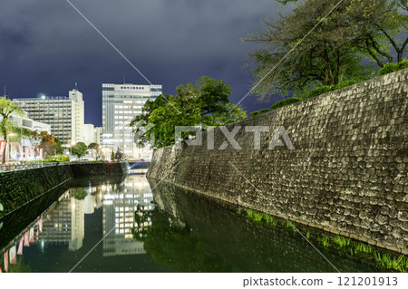 Shizuoka: Sunpu Castle Ninomaru Moat and Shizuoka Municipal Shizuoka Hospital, Shizuoka City, Shizuoka Prefecture Shizuoka: Sunpu Castle Ninomaru Moat and Shizuoka Municipal Shizuoka Hospital, Shizuoka City, Shizuoka Prefecture 121201913