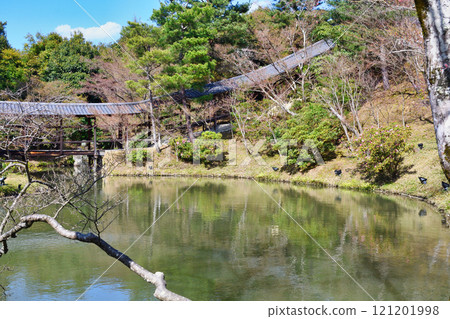 Kodaiji Temple, Kyoto: Garyu Corridor and Garyu Pond (Higashiyama Ward, Kyoto City, Kyoto Prefecture) 121201998
