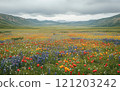 Vibrant wildflower field under a cloudy sky in a mountainous region 121203242