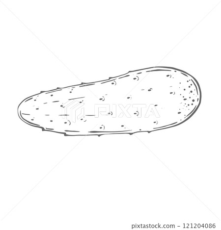 Green fresh cucumber, whole, small 121204086