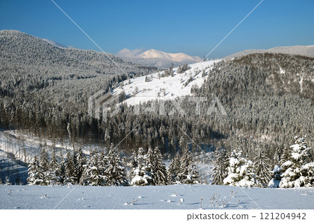 Winter landscape with spruse trees of snow covered forest in cold mountains. Winter landscape with spruse trees of snow covered forest in cold mountains. 121204942