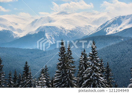 Winter landscape with high mountain hills covered with evergreen pine forest after heavy snowfall on cold wintry day. Winter landscape with high mountain hills covered with evergreen pine forest after heavy snowfall on cold wintry day. 121204949