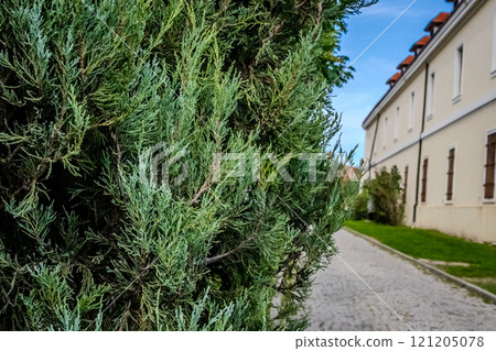 The fortress perched on Petrovaradin Hill watches over the city, while the charming streets and modern buildings of Novi Sad are spread out, creating a perfect blend of history and contemporary life 121205078