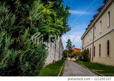 The fortress perched on Petrovaradin Hill watches over the city, while the charming streets and modern buildings of Novi Sad are spread out, creating a perfect blend of history and contemporary life 121205107