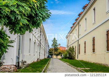 The fortress perched on Petrovaradin Hill watches over the city, while the charming streets and modern buildings of Novi Sad are spread out, creating a perfect blend of history and contemporary life 121205114