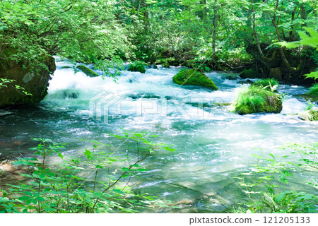 [Special Place of Scenic Beauty] Oirase Stream, Towada-Hachimantai National Park 121205133