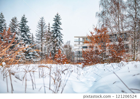 winter landscape in the city 121206524