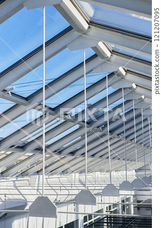 Vertical shot of glass ceiling of business building featuring transparent roof structure with clean geometric lines 121207095