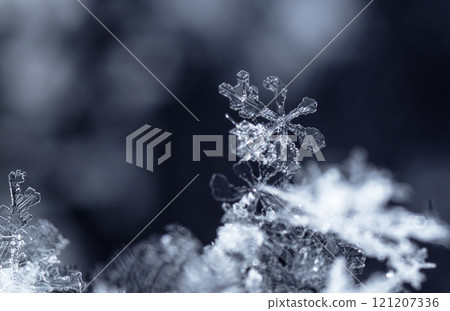 natural snowflakes on snow, winter natural snowflakes on snow, winter 121207336