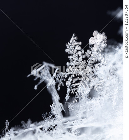 natural snowflakes on snow, winter 121207354