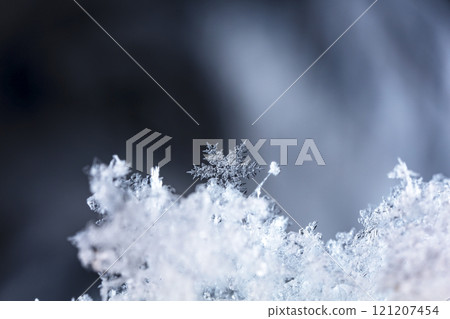 natural snowflakes on snow. the picture is made at a temperature of-10 C  121207454
