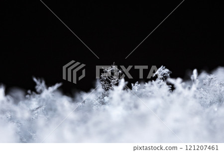 natural snowflakes on snow. the picture is made at a temperature of-10 C  121207461
