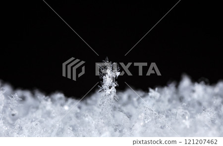 natural snowflakes on snow. the picture is made at a temperature of-10 C  121207462