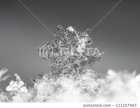 natural snowflakes on snow. the picture is made at a temperature of-10 C  121207465
