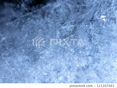 natural snowflakes on snow. the picture is made at a temperature of-10 C natural snowflakes on snow. the picture is made at a temperature of-10 C 121207481