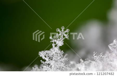 natural snowflakes on snow. the picture is made at a temperature of-10 C natural snowflakes on snow. the picture is made at a temperature of-10 C 121207482
