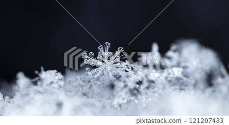 natural snowflakes on snow. the picture is made at a temperature of-10 C natural snowflakes on snow. the picture is made at a temperature of-10 C 121207483