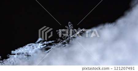 natural snowflakes on snow. the picture is made at a temperature of-10 C natural snowflakes on snow. the picture is made at a temperature of-10 C 121207491