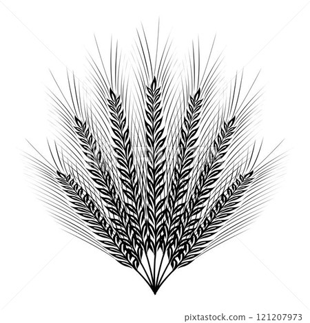 Circle formed by ears of wheat isolated on a white background simulating a radiant sun Circle formed by ears of wheat isolated on a white background simulating a radiant sun 121207973
