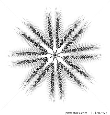 Circle formed by ears of wheat isolated on a white background simulating a radiant sun Circle formed by ears of wheat isolated on a white background simulating a radiant sun 121207974