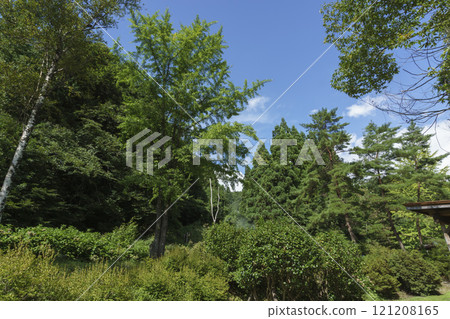 Onikobe Springs, Miyagi Prefecture 121208165