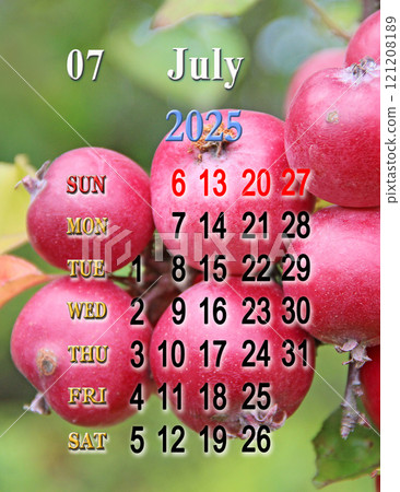 Calendar for July with photo of ripe apples on branch. Calendars for printing Calendar for July with photo of ripe apples on branch. Calendars for printing 121208189