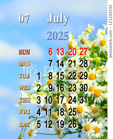 Calendar for July 2025 with photo of blooming flowers of chamomiles in field. 121208192