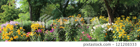 Blooming garden. Variety of flowers blooming in the summer garden. Floriculture. 121208333