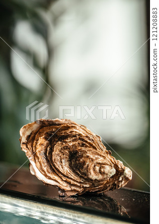 fresh Oyster on a blurred background. space for text fresh Oyster on a blurred background. space for text 121208883